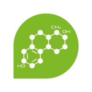 Metabolism products icon