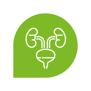 icono urobiomía