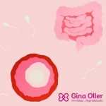 Microbiota intestinal e inflamación: un factor silencioso en fertilidad