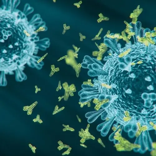 Réponse cellulaire virale_ lytique ou latente (2) Laboratorio de Análisis en Barcelona, Madrid y Málaga - Análisis Clínicos | Réponse cellulaire virale : phase latente ou active (EBV et CMV)
