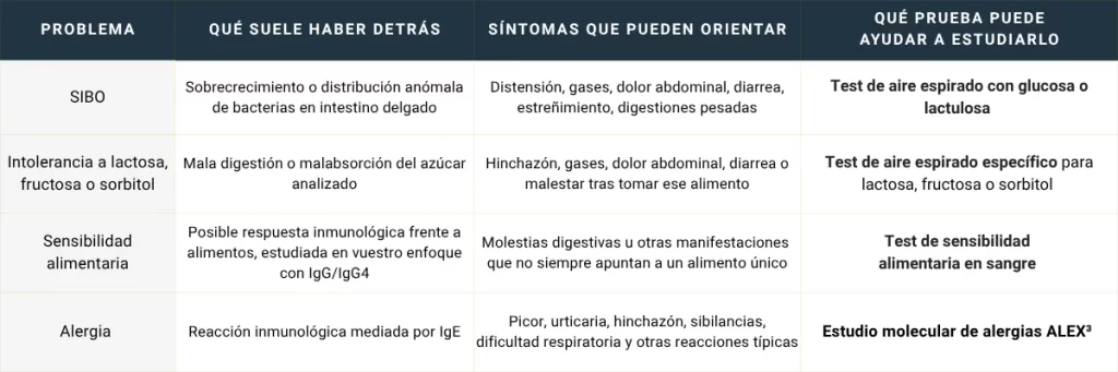 Laboratorio de Análisis en Barcelona, Madrid y Málaga - Análisis Clínicos | Diferència entre SIBO, intoleràncies, sensibilitat alimentària i al·lèrgies